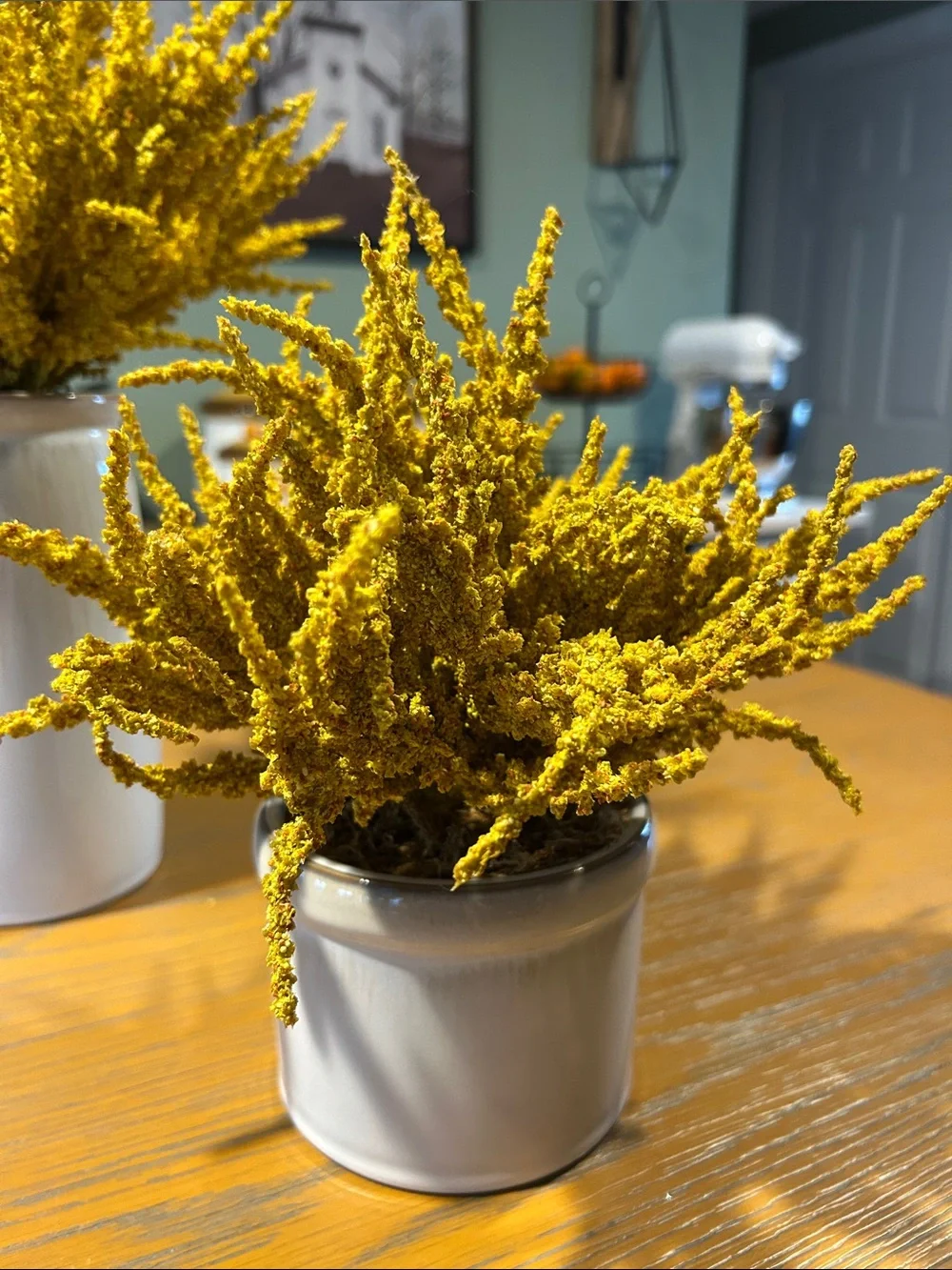 Threshold Bundle of Yellow Heather Arrangement in White Ceramic Vase